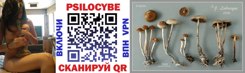 Псилоцибиновые грибы Magic Shrooms  закладка  mega ССЫЛКА  Лысково 